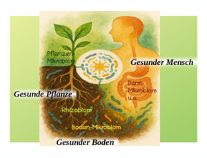 Gesundheit beginnt im Boden – warum das Mikrobiom unsere Lebensgrundlage ist